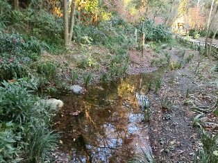 深沙大王堂北側湧水の写真