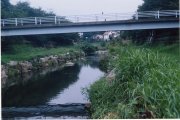 野川、中耕地橋の写真