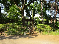 つつじヶ丘公園の遊歩道の画像