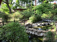 つつじヶ丘公園の池の画像