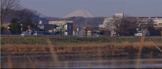 多摩川の画像