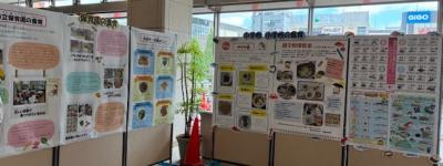 食育掲示の画像