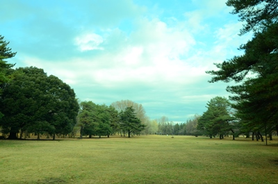野川公園の青空と芝生の写真