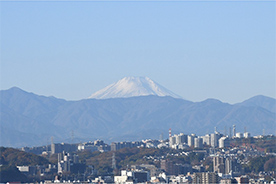 今年もあと4日