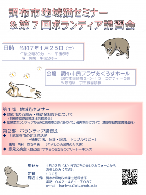 チラシ表面
