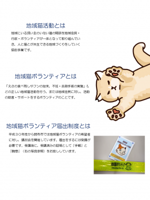 チラシ裏面